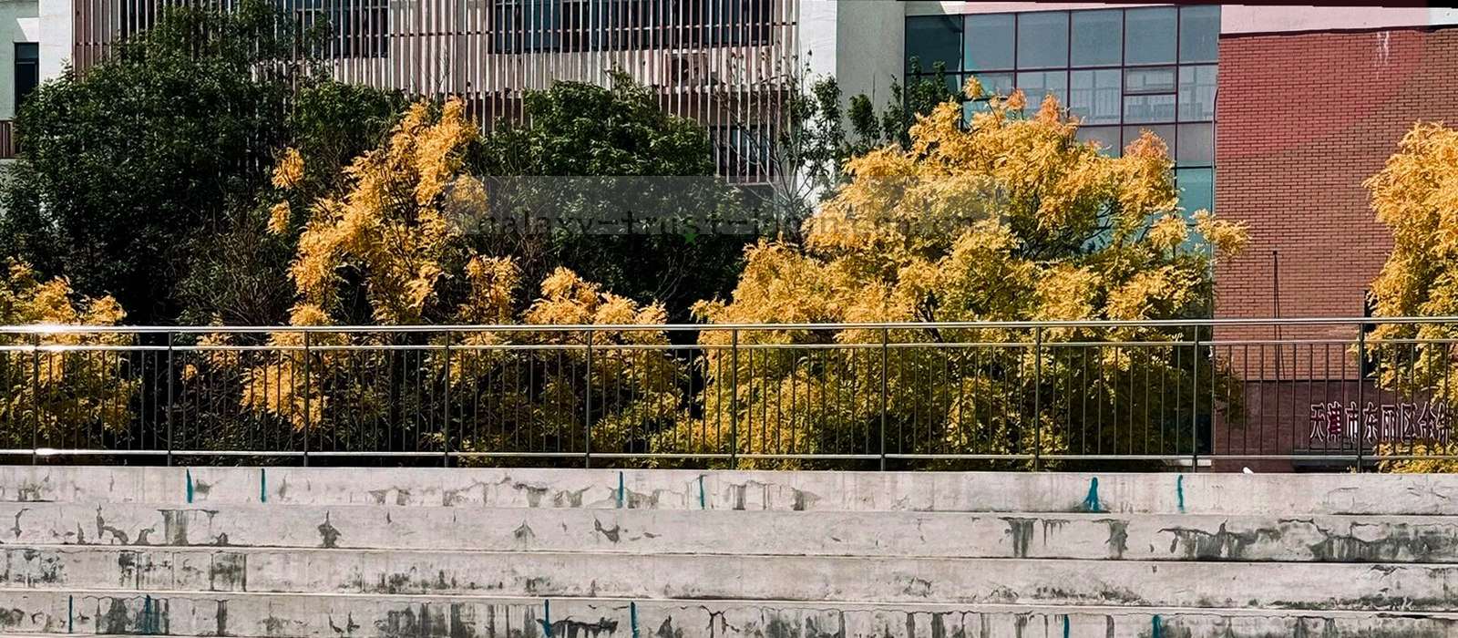 三条并行轨道自左侧汇聚为一条主轨道，抽象表达栏目结构逐代收敛的过程